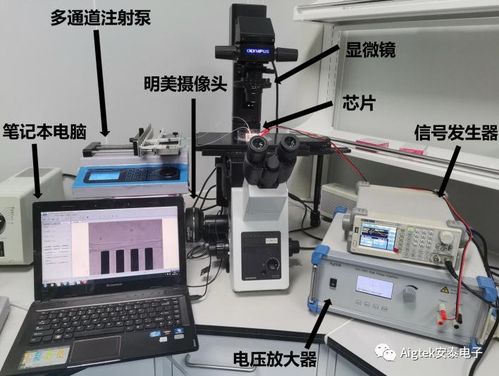 功率放大器在生物醫(yī)學(xué)領(lǐng)域測(cè)試研究中的應(yīng)用與前景